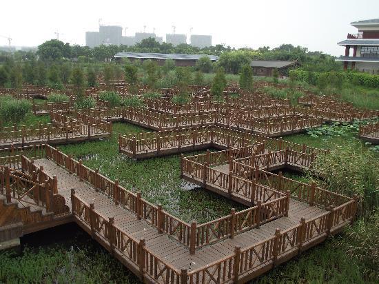 Wuyuanwan-moeraslandpark